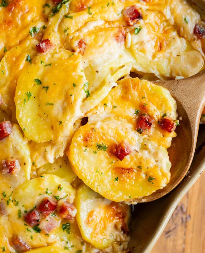 Close up view of a wooden spoon filled with cheesy scalloped potatoes and ham.