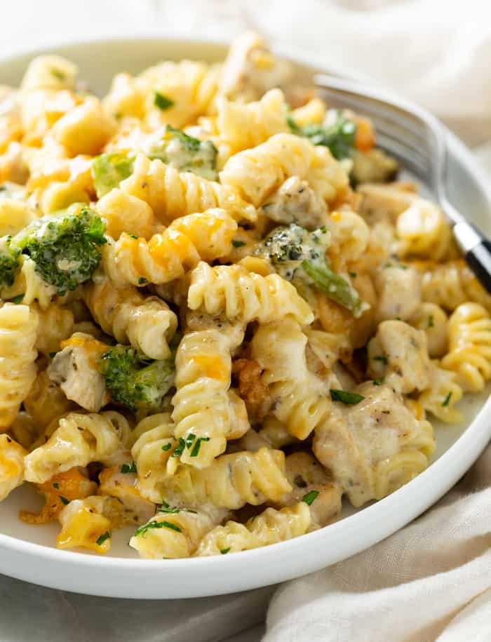A white plate with creamy Chicken Noodle Casserole in a mushroom sauce with cheese and broccoli.
