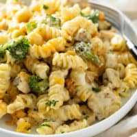 A plate with Cheesy Chicken Noodle Casserole in a creamy mushroom sauce with broccoli and chicken.