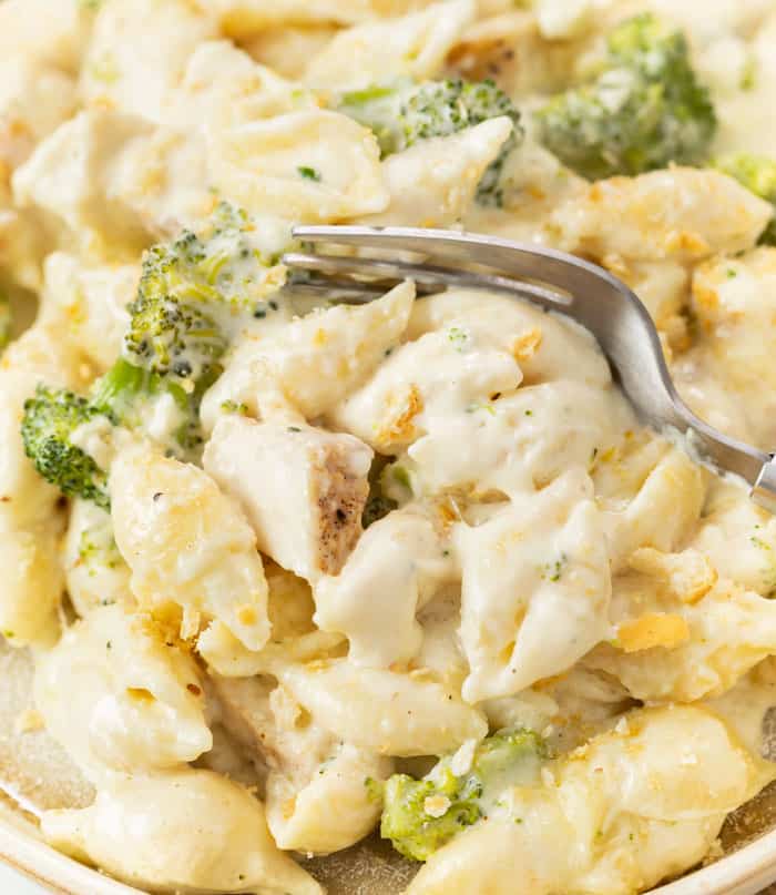 A fork scooping up chicken Alfredo bake from a plate.