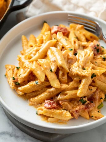 A white plate topped with creamy Buffalo Chicken Pasta with a fork in the background.