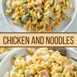 A collage of chicken and noodles on a white plate.