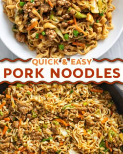 A collage of Pork Noodles in a white serving bowl and in a pan.